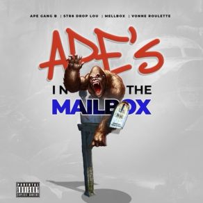 Download track S. C. Mailbox Muzik