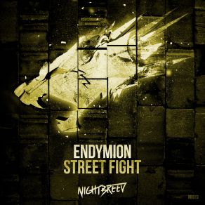 Download track Street Fight (Original Mix) Endymion