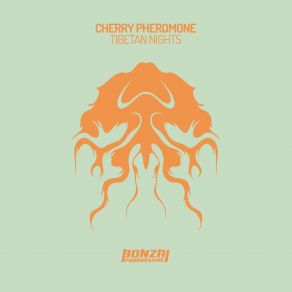 Download track Tibetan Nights Yuriy From Russia Remix Cherry Pheromone