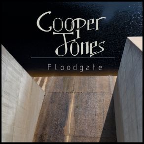 Download track Perfect Song Cooper Jones