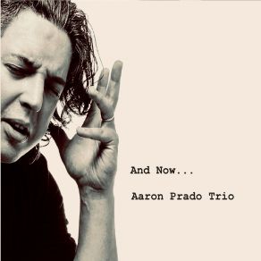 Download track Moon At Night Aaron Prado Trio