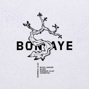 Download track Blue Lagoon Bonsaye