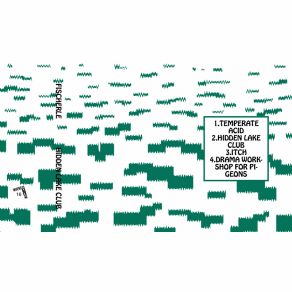 Download track Temperate Acid Fischerle