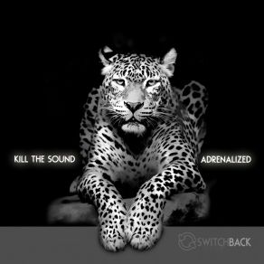 Download track Merian Kill The Sound