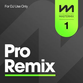 Download track Only For Tonight (Big Miz Remix - Extended) Mastermix