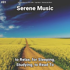 Download track Serene Music, Pt. 19 Relaxing Spa Music