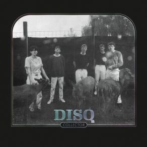 Download track D19 Disq