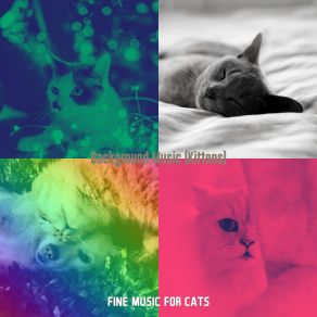 Download track Memories (Kittens) Fine Music For Cats