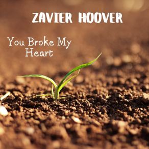 Download track Wild Moment Zavier Hoover