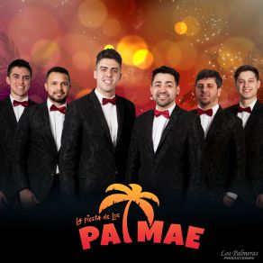 Download track Le Gusta Palmae