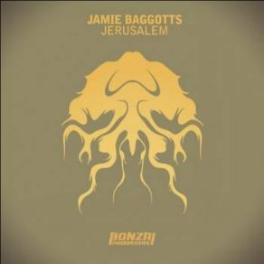 Download track Luna (Original Mix) Jamie Baggotts