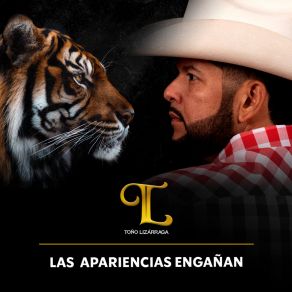 Download track Las Apariencias Engañan Toño Lizarraga