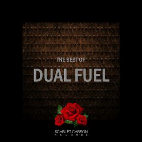 Download track Everybody (Original Mix) Dual Fuel