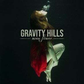 Download track Voids Gravity HillsDavid Brenton