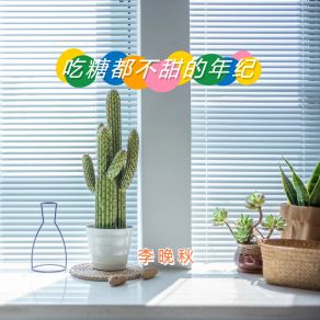 Download track 吃糖都不甜的年纪 (晚秋版伴奏) 李晚秋