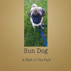 Download track Southern Slam Sundog