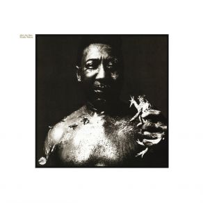 Download track I Am The Blues Muddy Waters