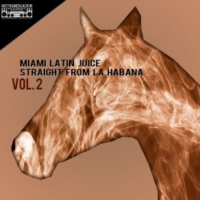 Download track Straight From La Habana (Radio Edit) Miami Latin Juice