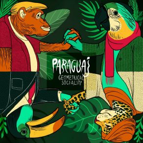 Download track Pareidolia ParaguajFLB