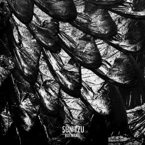 Download track Sun Tzu (Original Mix) Rotwang