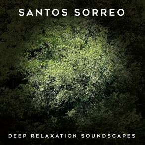 Download track Spiritual Intuition Santos Sorreo