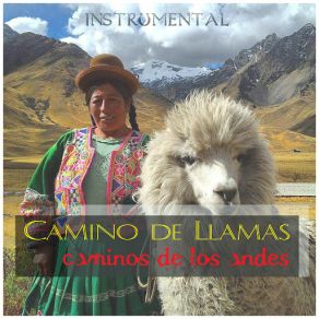 Download track Camino De Llamas Grupo Comunidad Andina