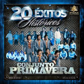 Download track No Tengo La Culpa Conjunto Primavera