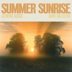 Download track Summer Sunrise (Little Yellow Pony Remix) Clemens Acidus