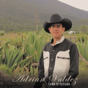 Download track Tengo Una Amante Adrian Valdez