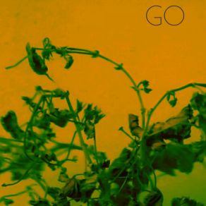 Download track Go (Alternative Version) Vojtěch Šmíd