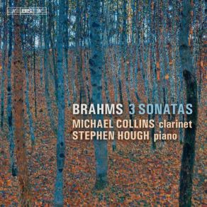 Download track Clarinet Sonata No. 1 In F Minor, Op. 120 No. 1 III. Allegretto Grazioso Stephen Hough, Michael Collins