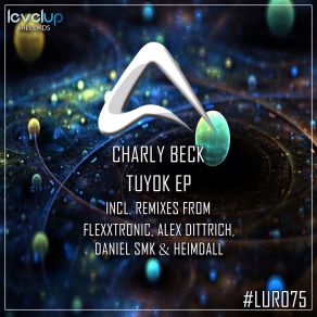 Download track Tuyok (Daniel Smk & Heimdall Remix) Charly Beck