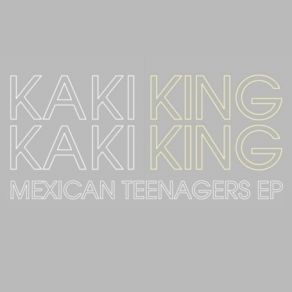 Download track A Long Way To Go Before We Are Truly Danlike Kaki King