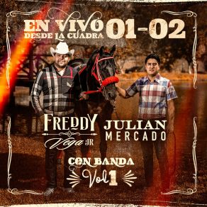 Download track El Peinado (En Vivo) Freddy Vega Jr