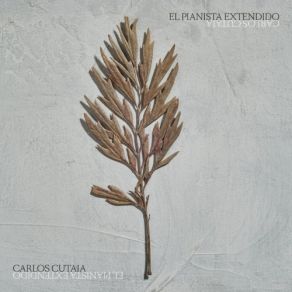 Download track No Lo Pude Evitar Carlos Cutaia