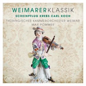 Download track Concertino For Flute & Horn: I. Allegro Maestoso Weimar, Thuringian Chamber OrchestraWally Hase