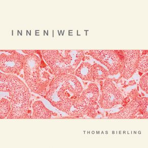 Download track Morbus Piano Thomas Bierling