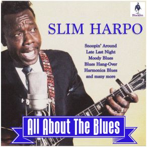 Download track Blues Hang-Over Slim Harpo