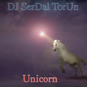 Download track Unicorn (Club Mix) DJ Serdal Torun