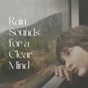 Download track Xper Rain Rain Sounds