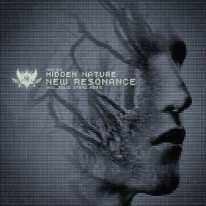 Download track New Resonance (Solid Stone Remix) Hidden Nature