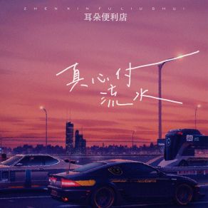 Download track 真心付流水 (DJ阿哲版伴奏) 耳朵便利店