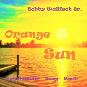 Download track The Fairly Long Ballad Of The Moonwalker In Liquid Sunshine Bobby Wallisch Jr