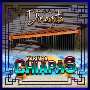 Download track Que Nadie Sepa Mi Sufrir Marimba Chiapas