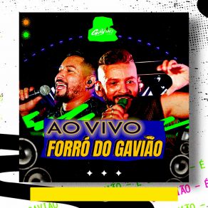 Download track Carros Forró Du Gavião