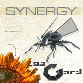 Download track The Lights (Vienna Clubbers Mix) Synergy, DJ Gard