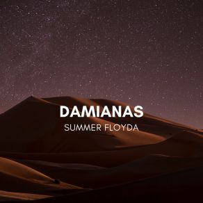 Download track Semiconscious Summer Floyda