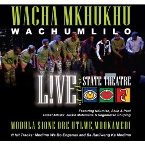 Download track Shango Lo Tshikafala Wacha Mkhukhu Wachumlilo