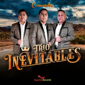 Download track El Son Del Chaman Trio Inevitables