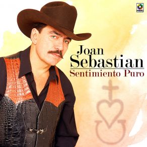 Download track Los Ladrones Joan Sebastián